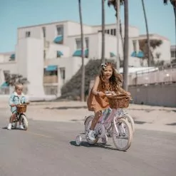 Banwood Classic Pedal Bicycle - Pink Bikes & Trikes