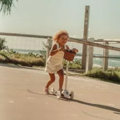 Banwood Scooter - Pink Bikes & Trikes