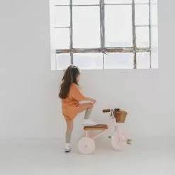 Banwood Trike - Pink