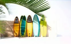 Candylab - Waimea Surfboard Pack