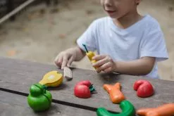 Plan Toys - Wonky Fruit & Vegetables Pretend Play