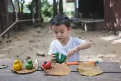 Plan Toys - Wonky Fruit & Vegetables Pretend Play